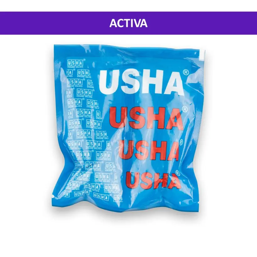 Usha Engine Valve For Activa