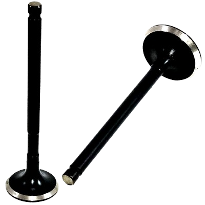 Valve Set Genuine Avenger 220 - Genuine