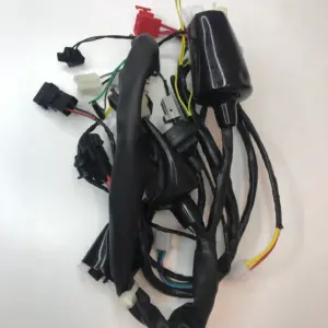 motoheal.com