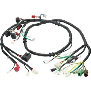 motoheal.com
